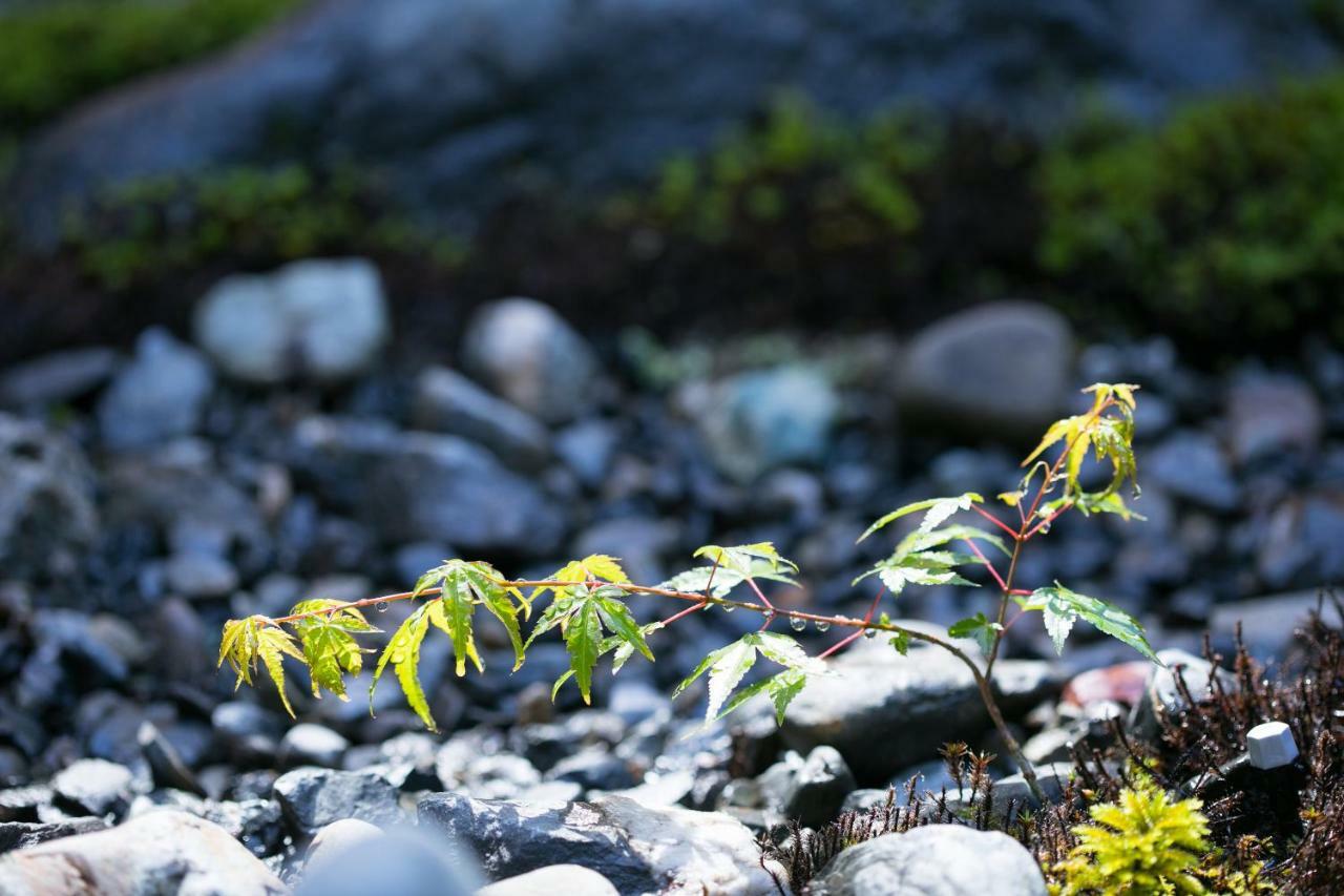 Ryokan Mugen (Adults Only) เกียวโต ภายนอก รูปภาพ